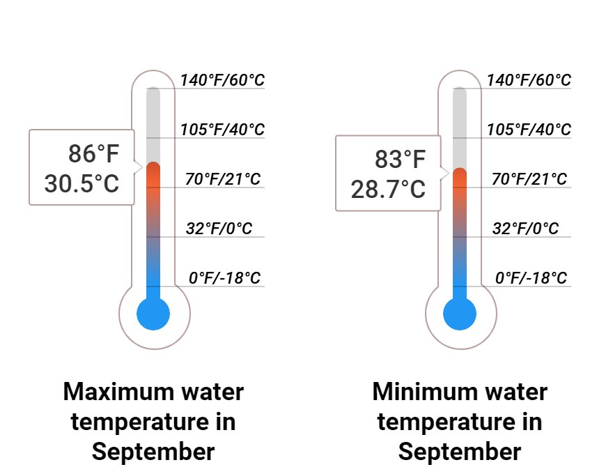 Average Sea temperature